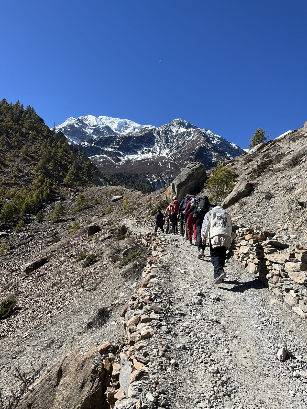 A line of trekkers and pack animals on a stone trail toward snow peaks