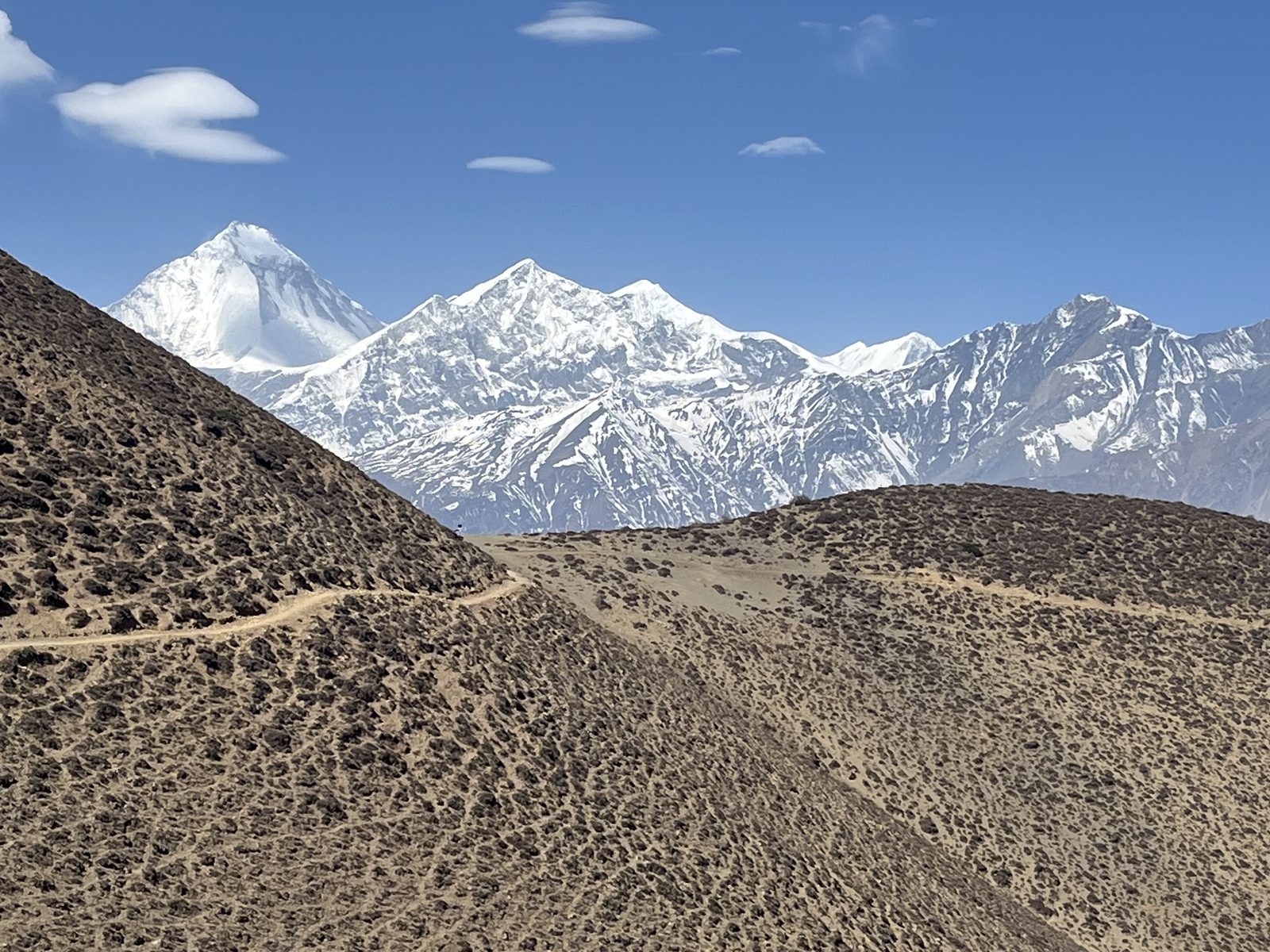 A dramatic ridge leading toward the snow peaks
